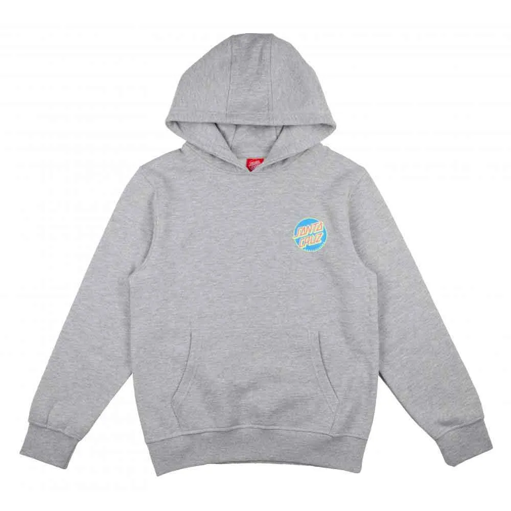 Santa Cruz Youth Roskopp Frame Hand Hoodie