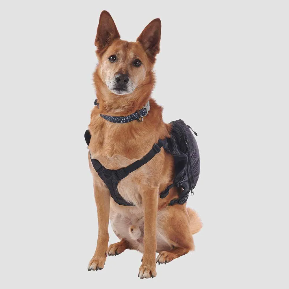 Ultimate Direction Dog Vest V2